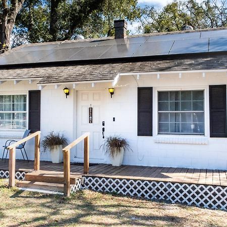 Cozy Home Near Busch Gardens Adventure Island And Usf 坦帕 外观 照片